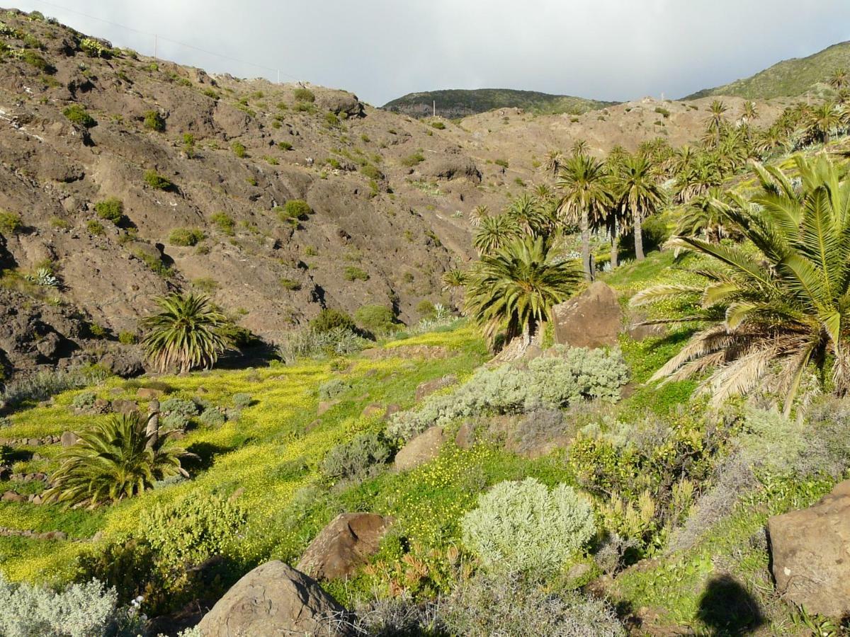 El Pirguan Holiday House, Your Oasis In La Gomera Vallehermoso Ngoại thất bức ảnh