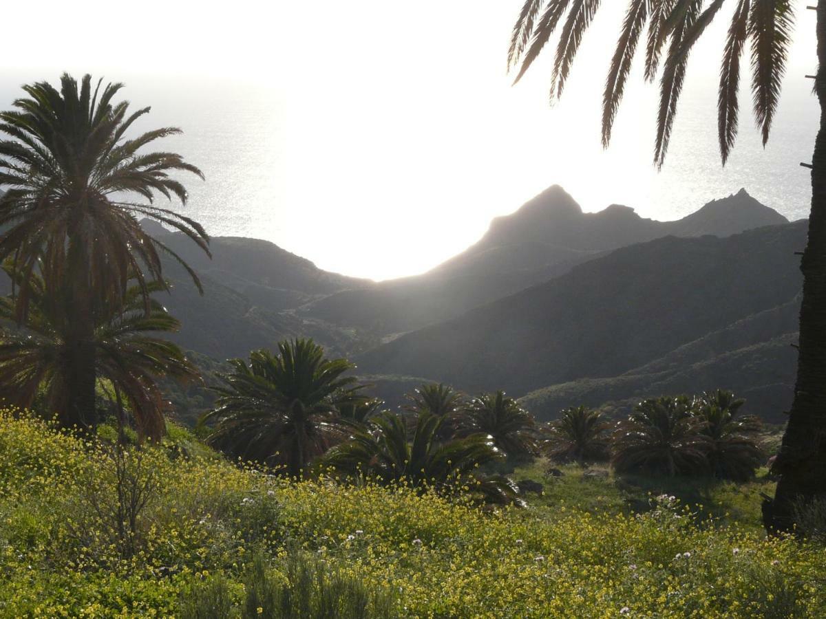 El Pirguan Holiday House, Your Oasis In La Gomera Vallehermoso Ngoại thất bức ảnh