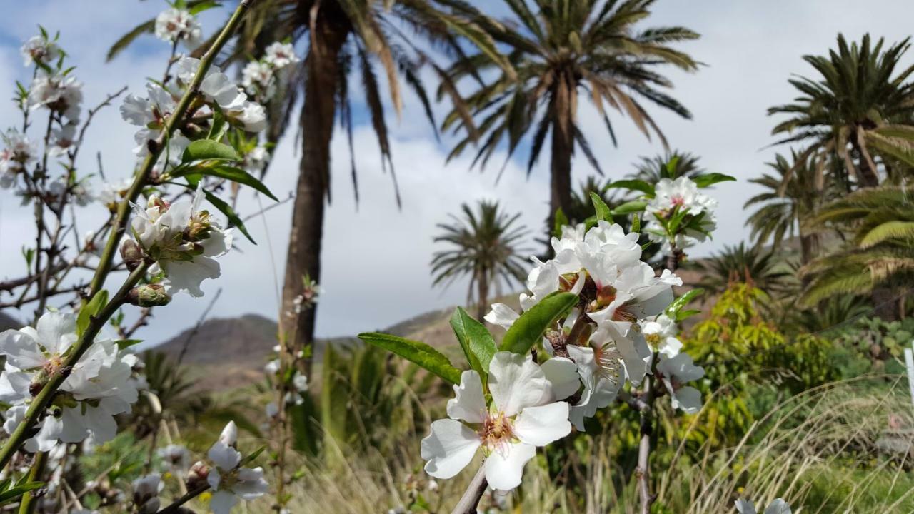 El Pirguan Holiday House, Your Oasis In La Gomera Vallehermoso Ngoại thất bức ảnh