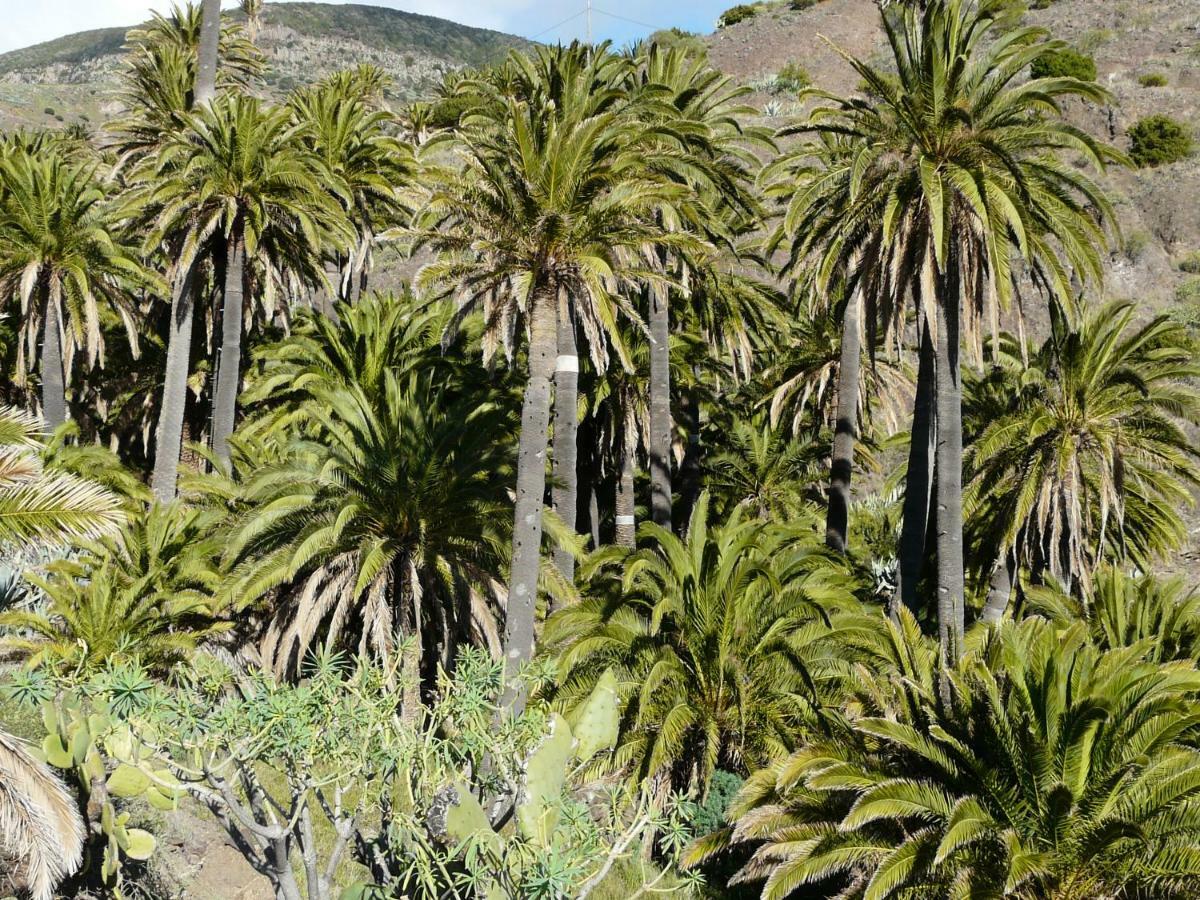 El Pirguan Holiday House, Your Oasis In La Gomera Vallehermoso Ngoại thất bức ảnh
