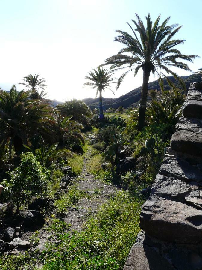 El Pirguan Holiday House, Your Oasis In La Gomera Vallehermoso Ngoại thất bức ảnh