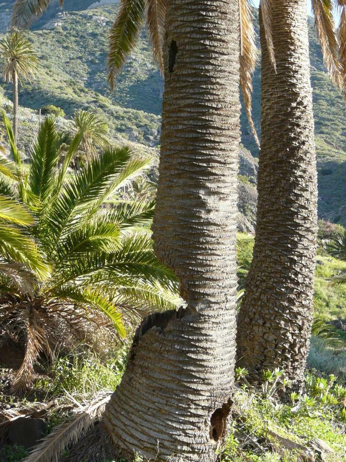 El Pirguan Holiday House, Your Oasis In La Gomera Vallehermoso Ngoại thất bức ảnh