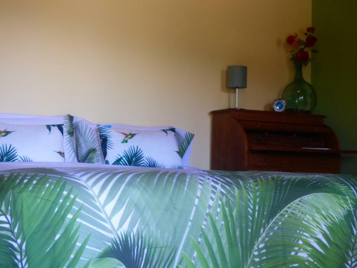 El Pirguan Holiday House, Your Oasis In La Gomera Vallehermoso Ngoại thất bức ảnh